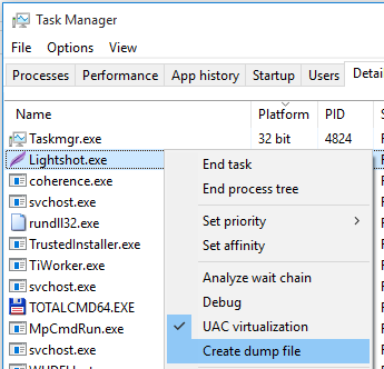 Task Manager Dump Screenshot
